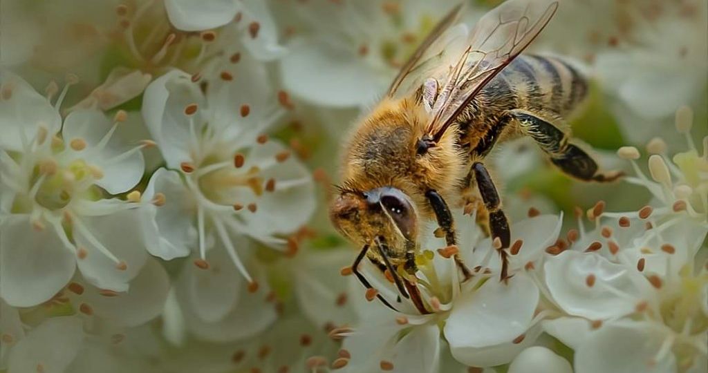 IMG-20200609-WA0003-1024x743