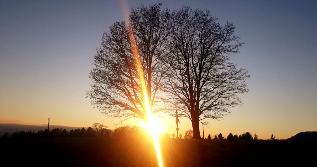 IMG-20210312-WA0013-1024x768