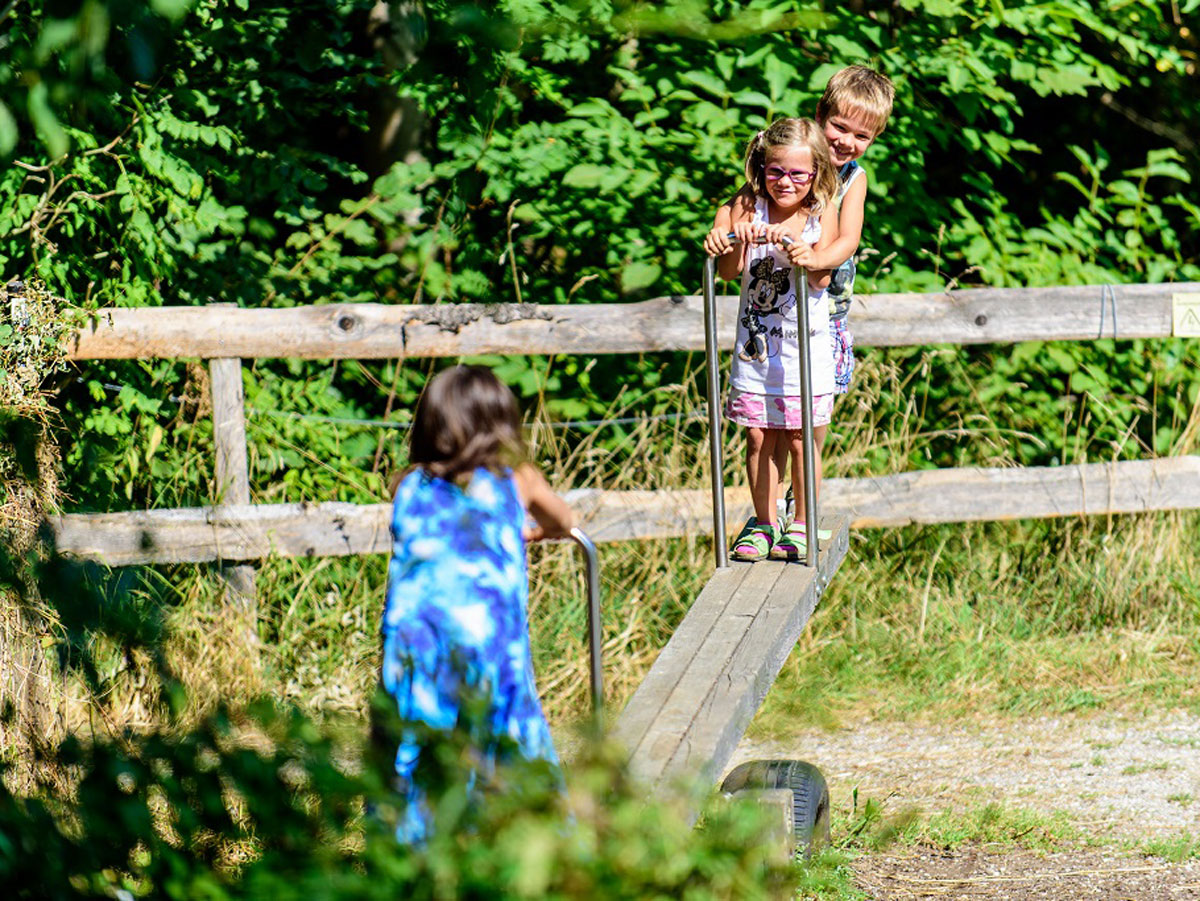 TVA_Anthering-Schaukelweg-Herkules-Schaukel