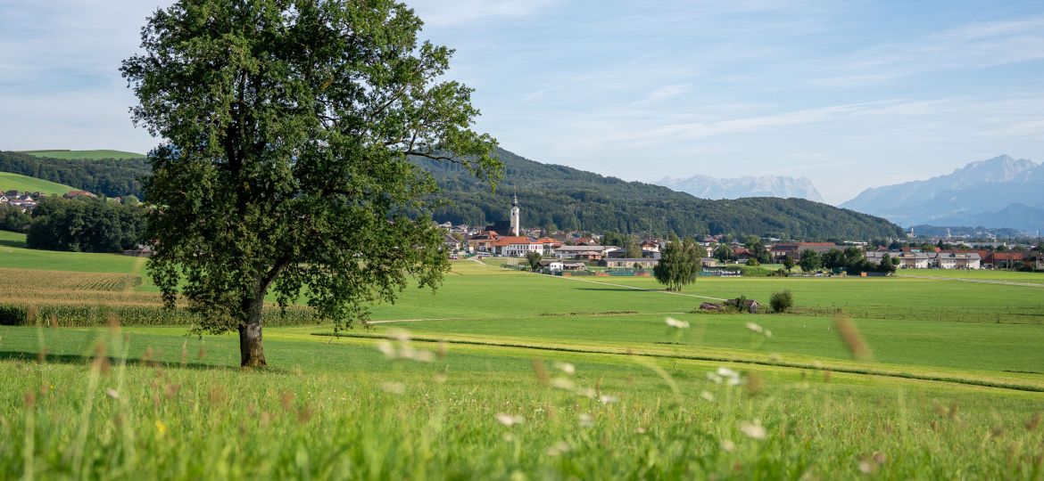 TVA_Anthering_Ort_Header