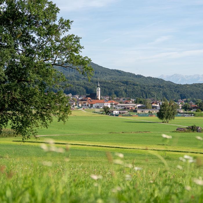 TVA_Anthering_Ort_Header