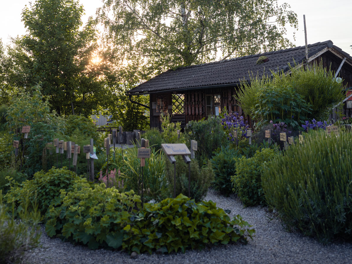TVA_Antheringer_Kraeutergarten_6