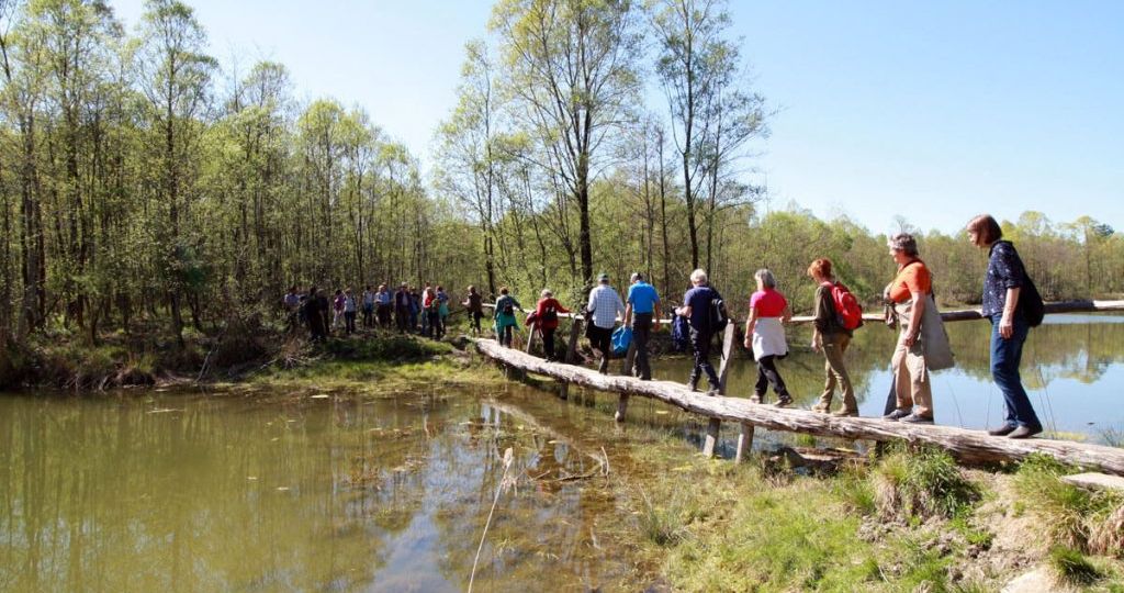 balancieren-uebers-wasser-1024x683