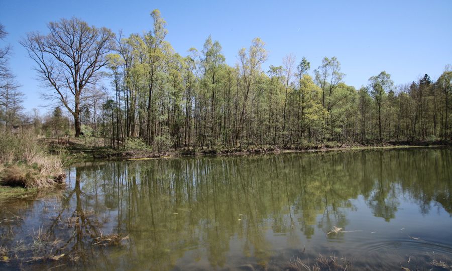 leberersee-anthering